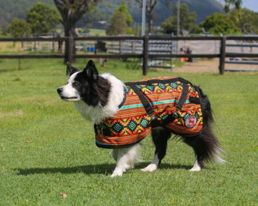 Thermo Master Supreme Dog Coat - Nicoma - Image 2