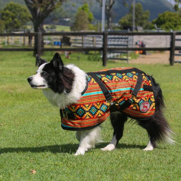 Alternative view of Thermo Master Supreme Dog Coat - Nicoma
