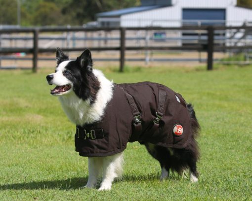Thermo Master Oilskin Dog Coat Brown