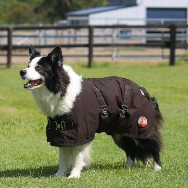 Thermo Master Oilskin Dog Coat Brown