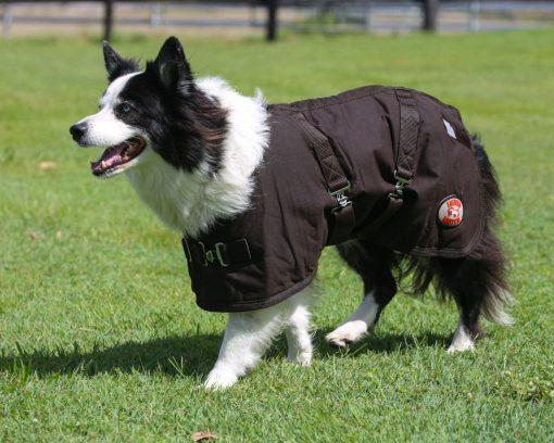 Thermo Master Oilskin Dog Coat Brown - Image 2