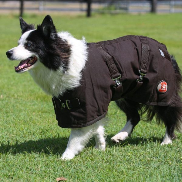 Alternative view of Thermo Master Oilskin Dog Coat Brown