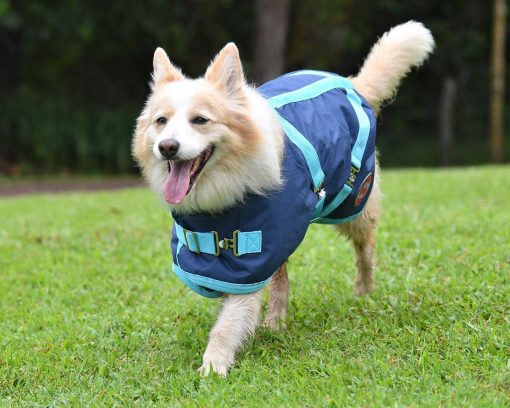 Thermo Master Supreme Dog Coat - Navy/Baby Blue - Image 7