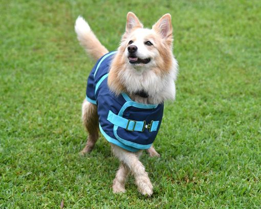 Thermo Master Supreme Dog Coat - Navy/Baby Blue - Image 6