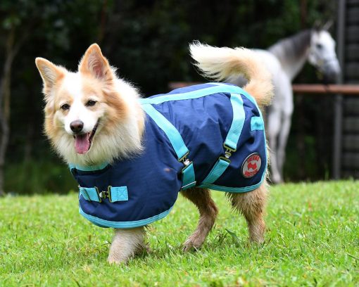 Thermo Master Supreme Dog Coat - Navy/Baby Blue