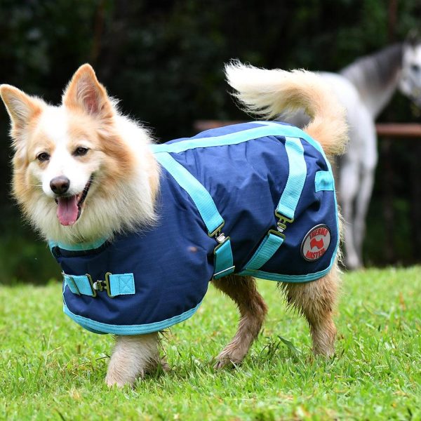 Thermo Master Supreme Dog Coat - Navy/Baby Blue