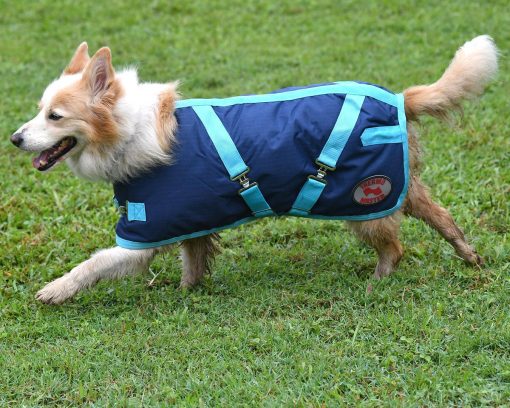Thermo Master Supreme Dog Coat - Navy/Baby Blue - Image 5