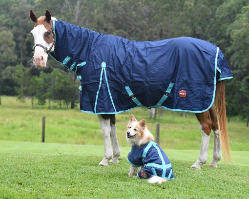 Thermo Master Supreme Dog Coat - Navy/Baby Blue - Image 9