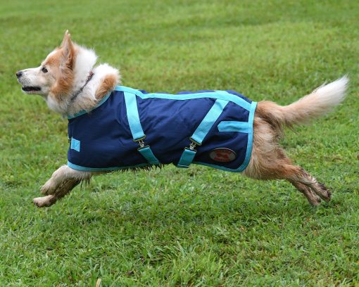 Thermo Master Supreme Dog Coat - Navy/Baby Blue - Image 2