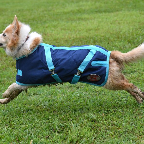 Alternative view of Thermo Master Supreme Dog Coat - Navy/Baby Blue