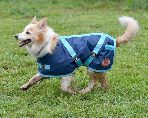 Thermo Master Supreme Dog Coat - Navy/Baby Blue - Image 8