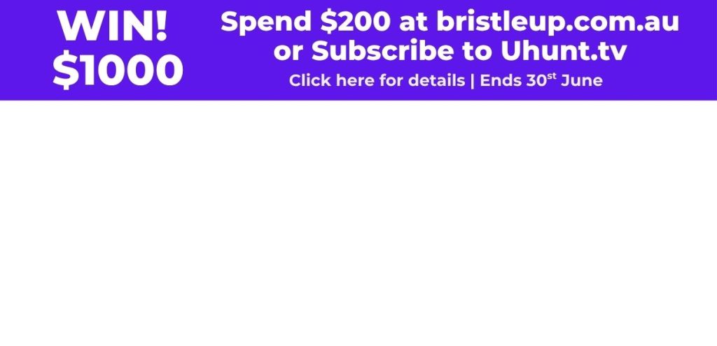 Bristle Up