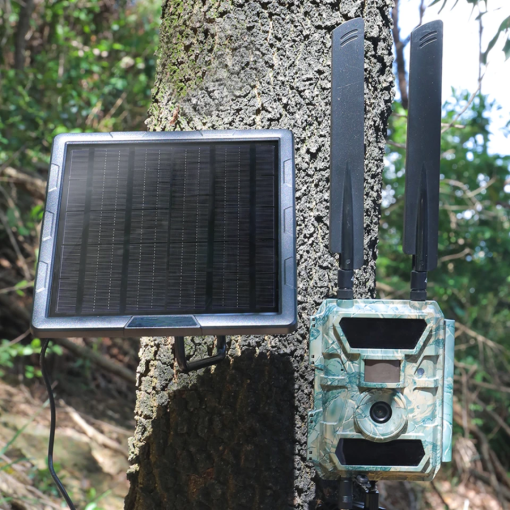 Bristle Up Solar Panel