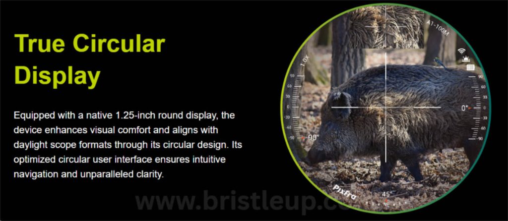 Bristle Up