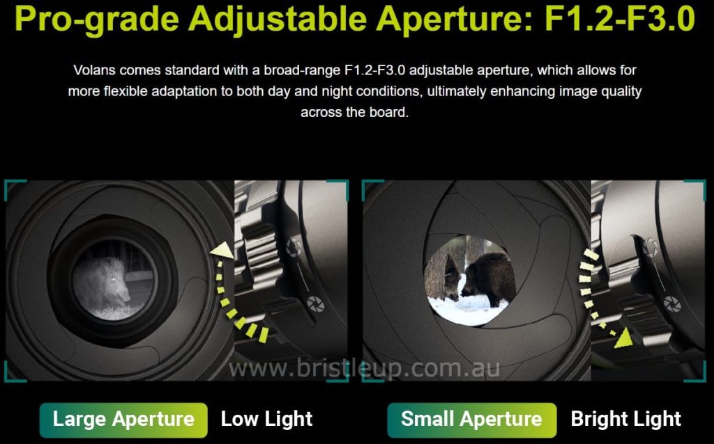 Bristle Up