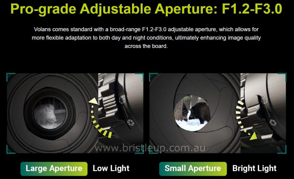 Bristle Up