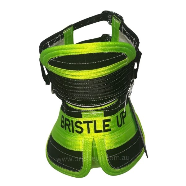 Dog A Hog - Full Plate - Image 8