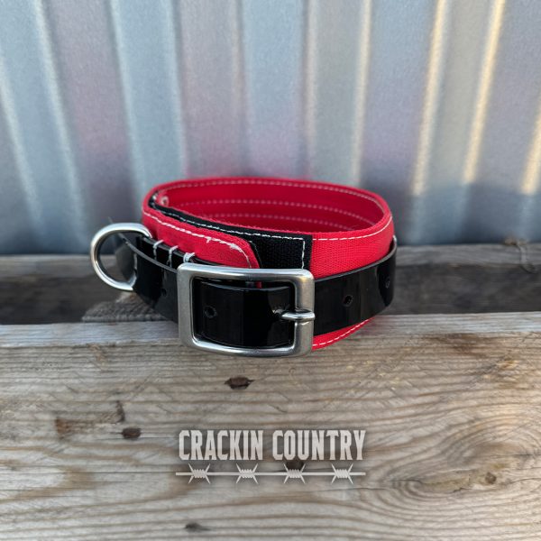 Rugged CC Seatbelt Collar with tag - Image 6