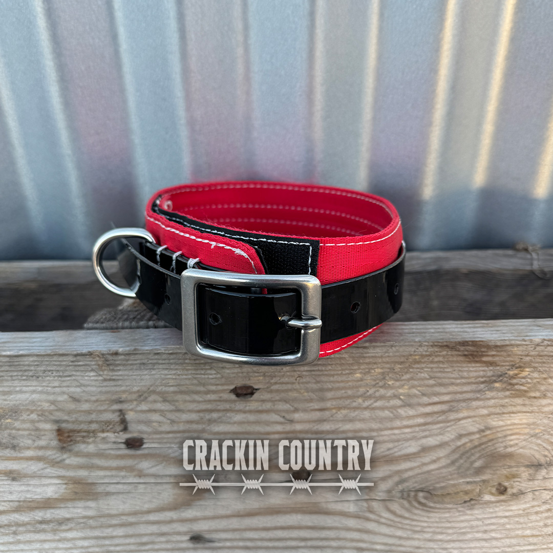 Rugged CC Seatbelt Collar with tag - Image 6