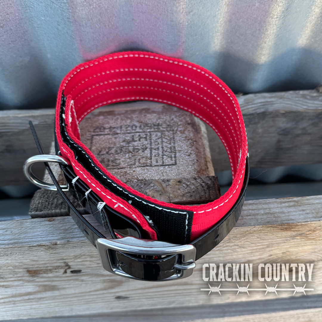 Rugged CC Seatbelt Collar with tag - Image 5