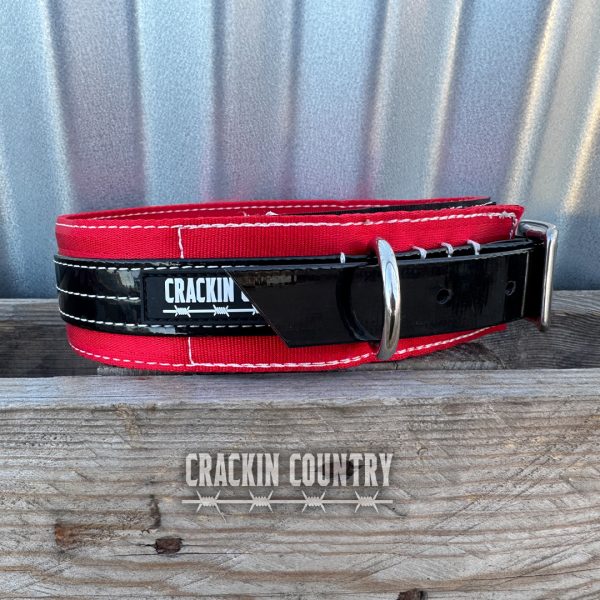 Rugged CC Seatbelt Collar with tag - Image 11