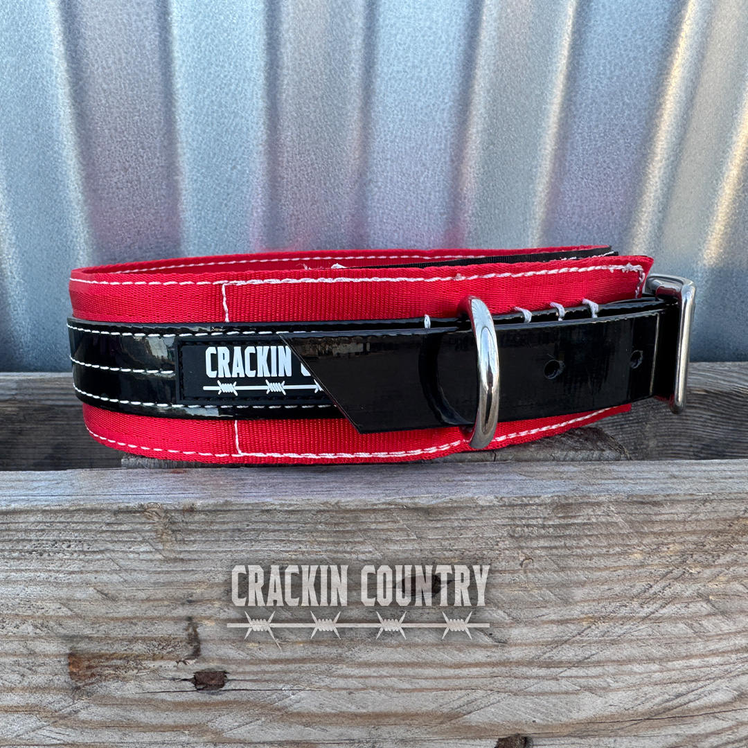 Rugged CC Seatbelt Collar with tag - Image 11