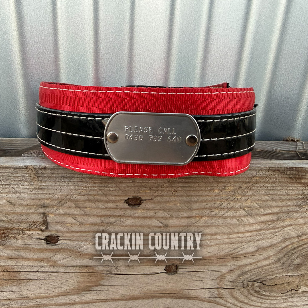 Rugged CC Seatbelt Collar with tag