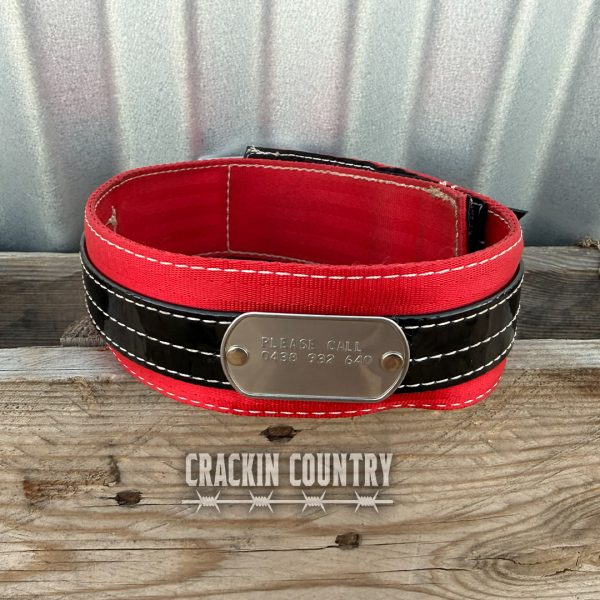 Rugged CC Seatbelt Collar with tag - Image 3