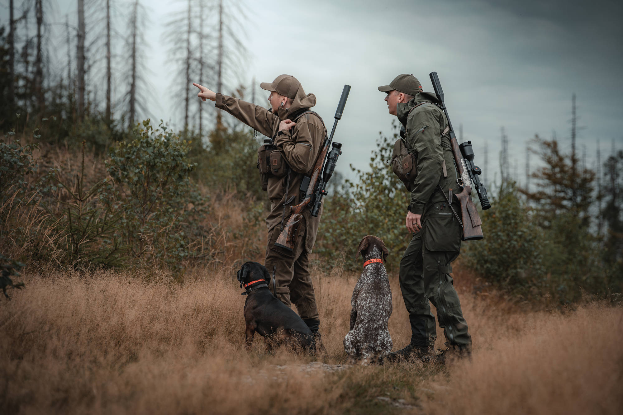 Two hunters with rifles and gundogs in a grassy clearing, one pointing out across the field